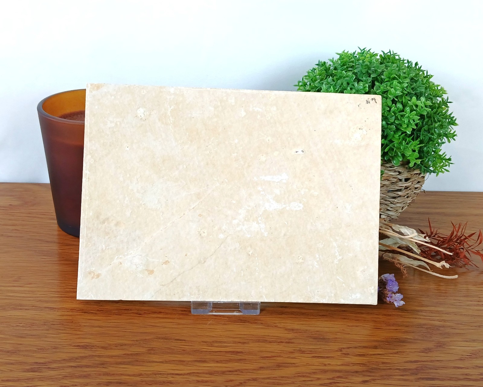 100% Genuine Knightia Alta Fish Fossil USA 180 x 130 x 10mm with Stand