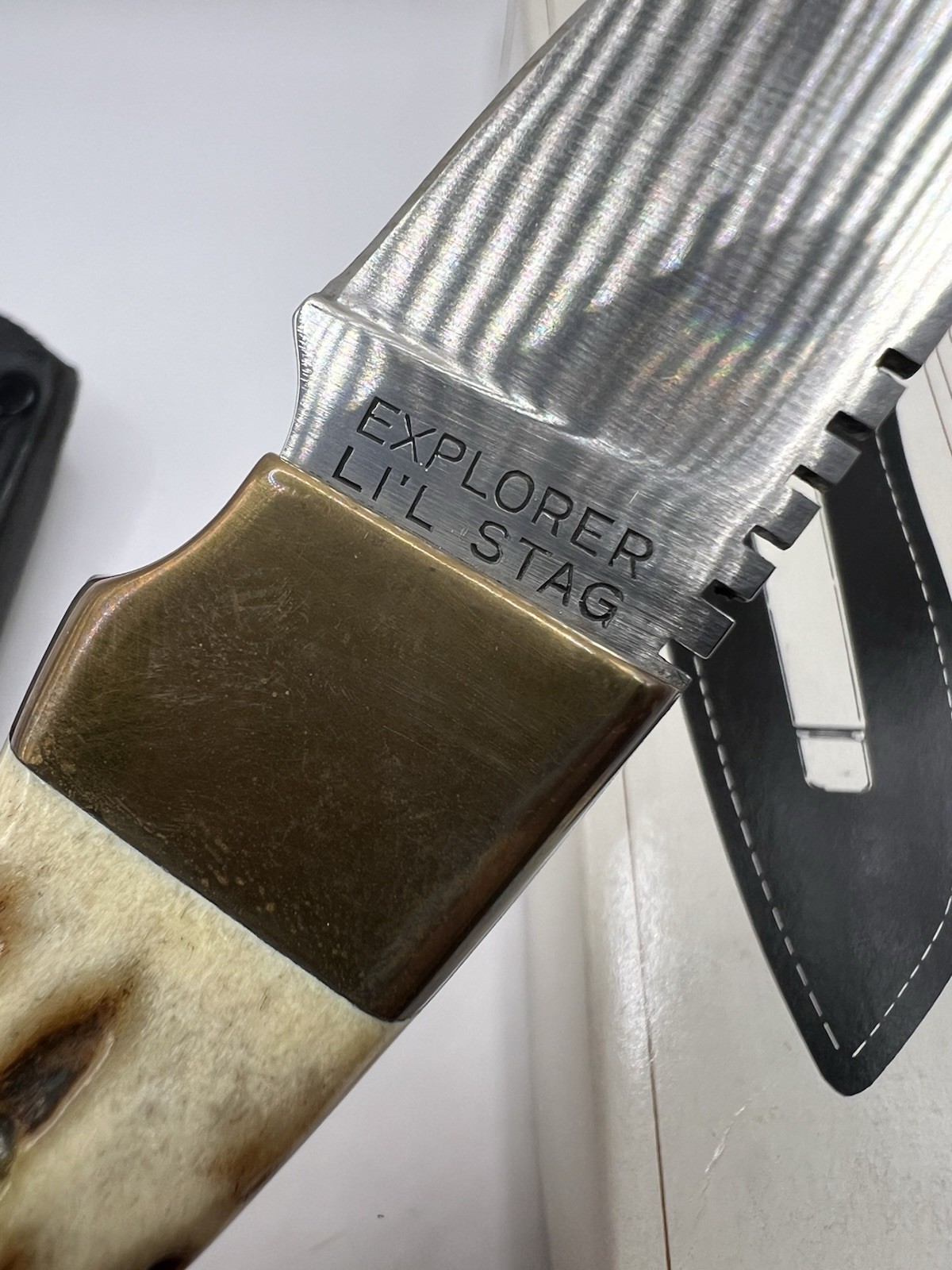 Gutmann Explorer vintage stag horn handle knife with box sheath