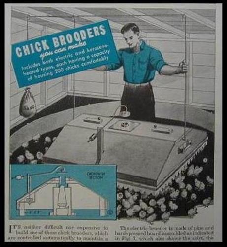 Chick Brooder 1944 HowTo build PLANS Poultry Chicken 200 capacity