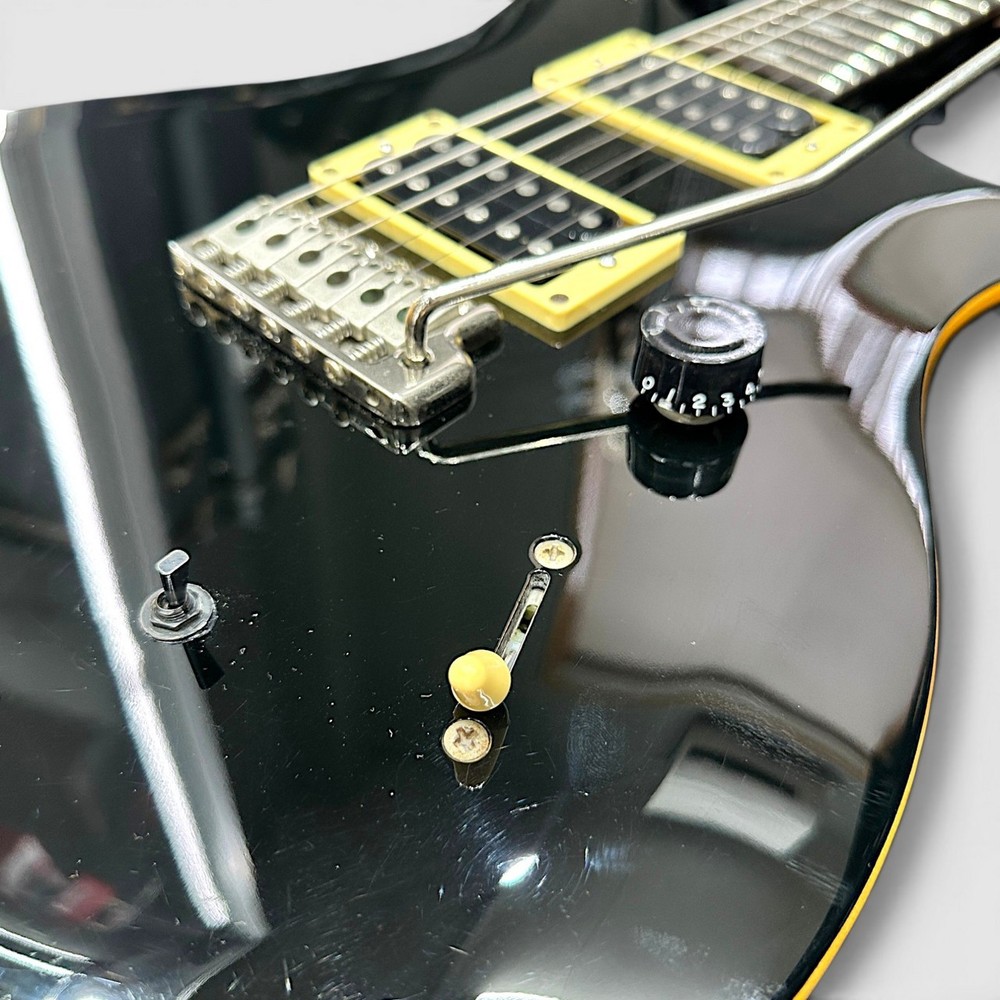 Paul Reed Smith PRS SE CUSTOM 24 (2012 model) - Modification required.