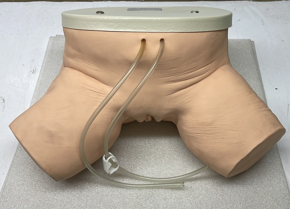 NASCO Life form Female Catheterization Simulator Training LF856