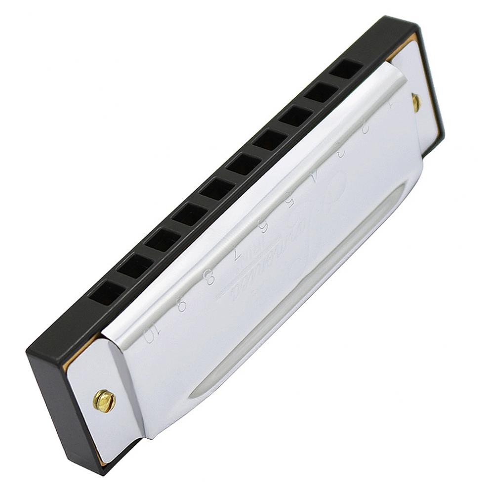 Harmonica for Students Beginners 10 Hole Diatonic Harmonica Key of C, Silver