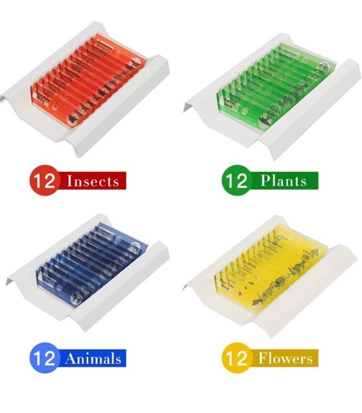 48Pcs Prepared Plastic Microscope Slides Biological Specimen with 4 Boxes for Ch