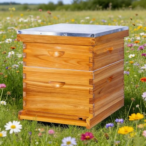 10-Frame Beehives Starter Kit – Complete Langstroth Hive with 1 Deep 2 Layers