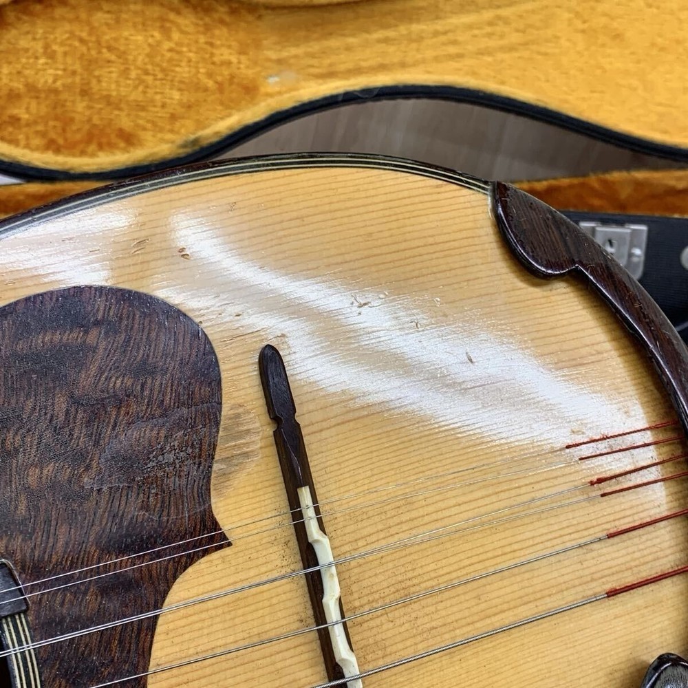 Suzuki M-30 Mandolin with Hard Case Used Junk Condition