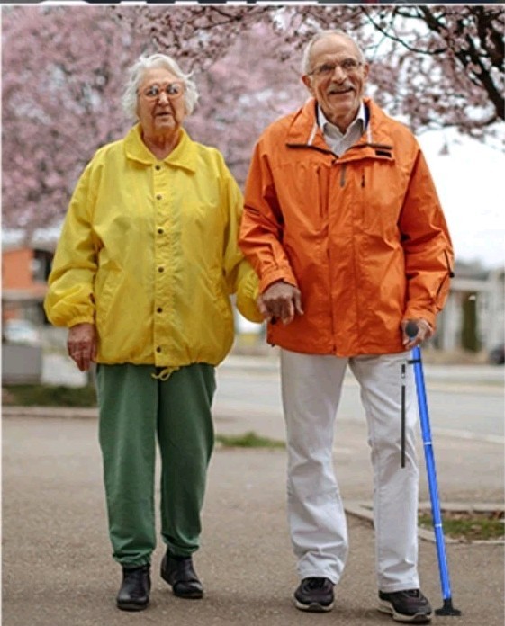 🩼 Zelecks Folding Cane 360° Pivot Base Adjustable Self-Standing Blue