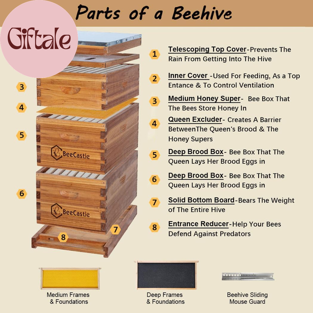 8 Frame Langstroth Bee Hive Coated with Beeswax Includes Beehive Frames and Waxe