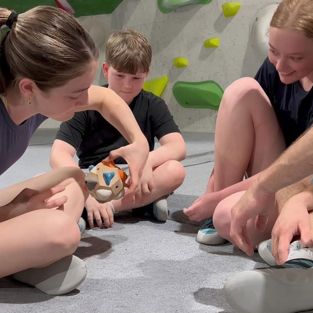 Handcrafted Boulder Block: Build.Strength and Precision, Rock Climbing Training