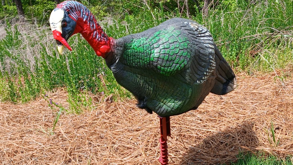 Flambeau (2) + Feather Flex (1) Turkey Decoys