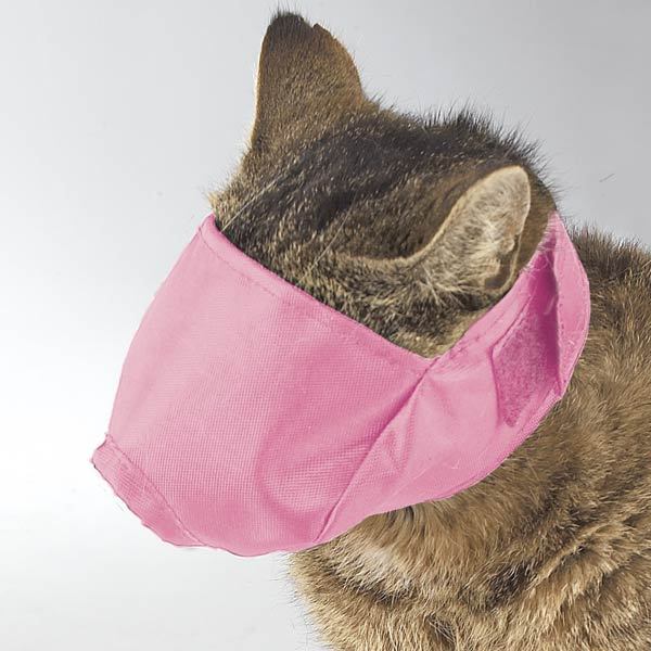 Soft Adjustable Cat Muzzles Perfect For Grooming Three Colors and Muzzle Sizes