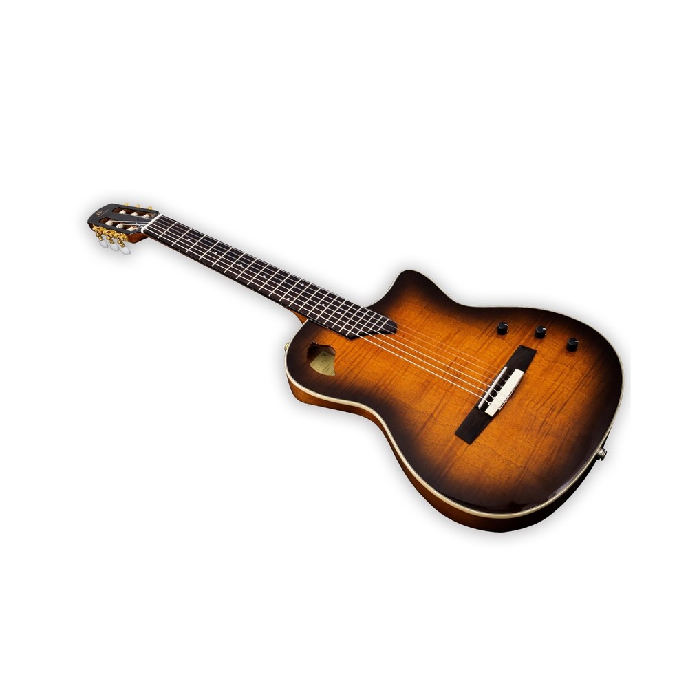 TARIO Silent Classical Guitar, Solid Flame Mahogany top Solid Mahogany Body, ...