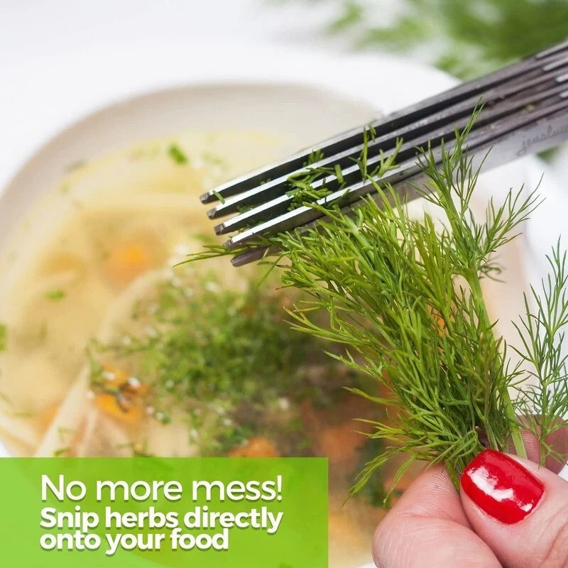 5-Blade Stainless Steel Scallion Cutter - Multi-Layer Herb & Kitchen Scissors