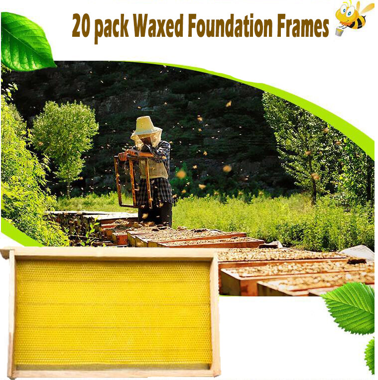 20PCS Bee Wax Foundation Hive Frames Foundation Deep Comb Bee Hive With Wire