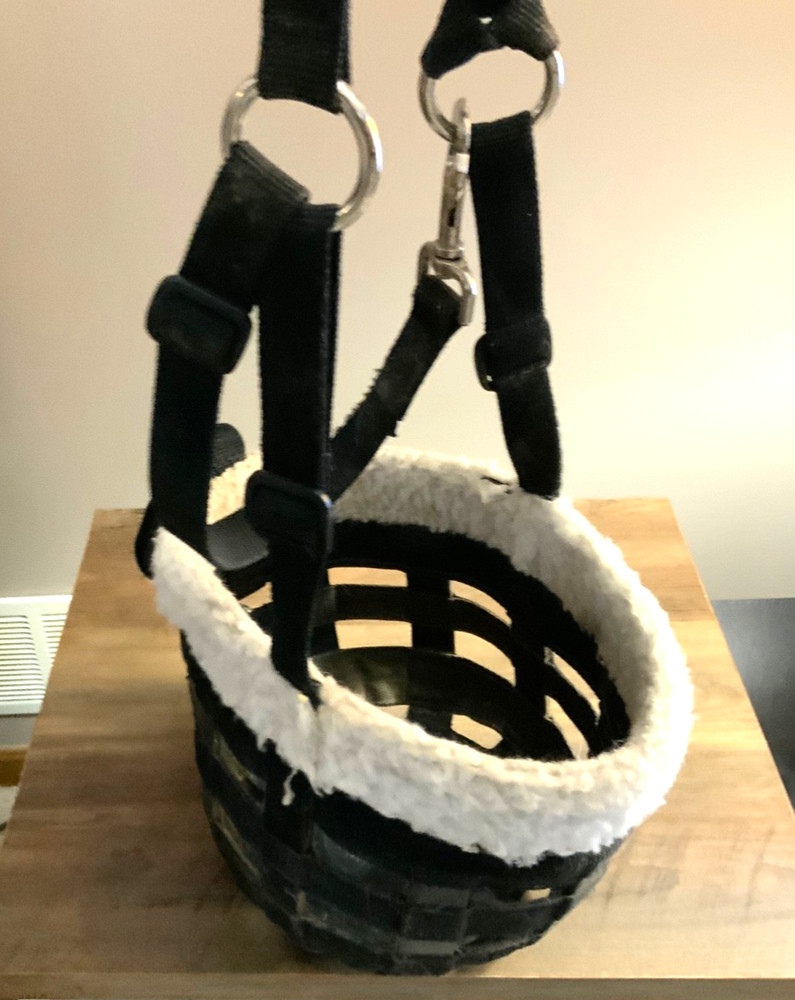 horse gear- grazing muzzle