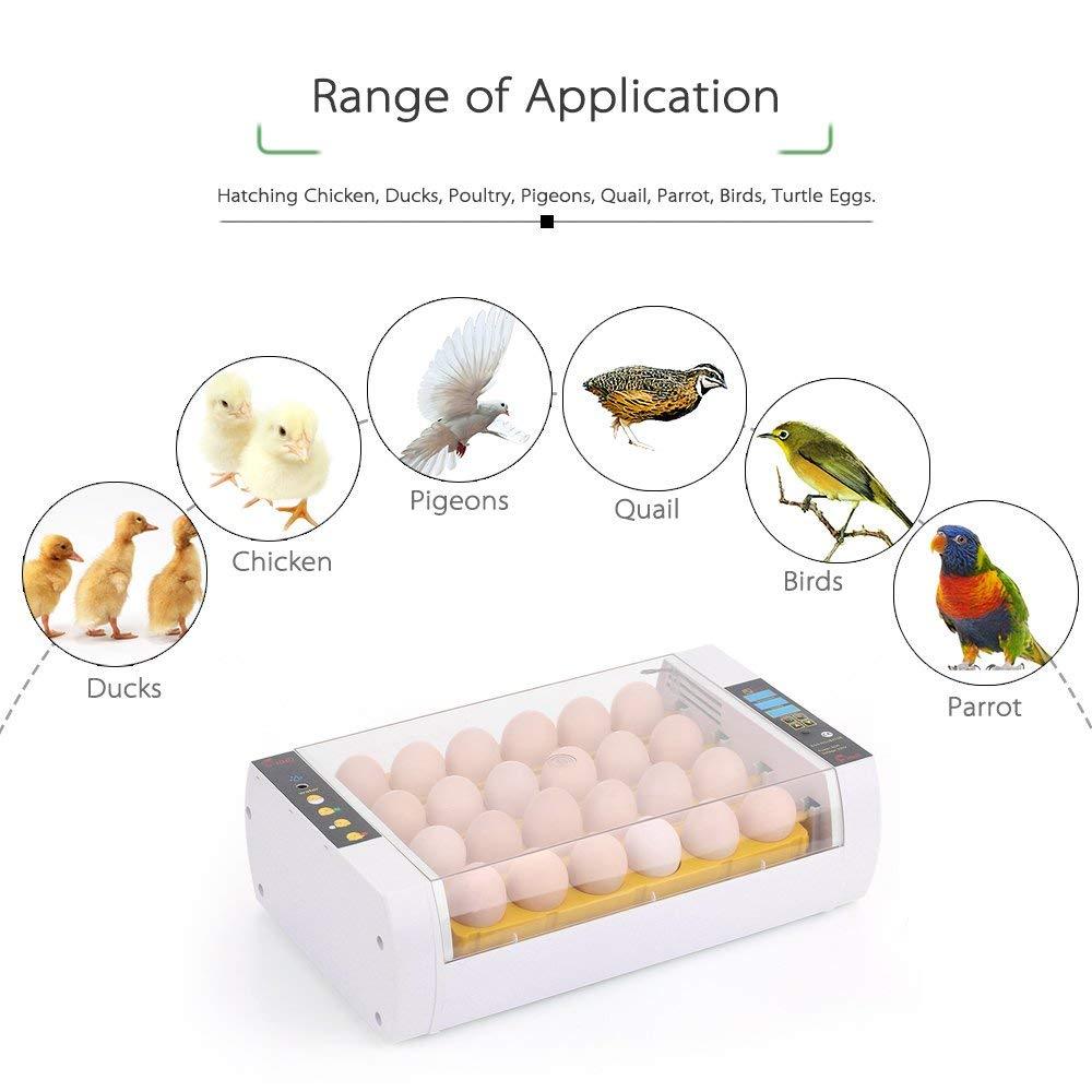 4-24 Eggs Incubator Automatic Chicken Quail Hatcher Incubators for Hatching Eggs