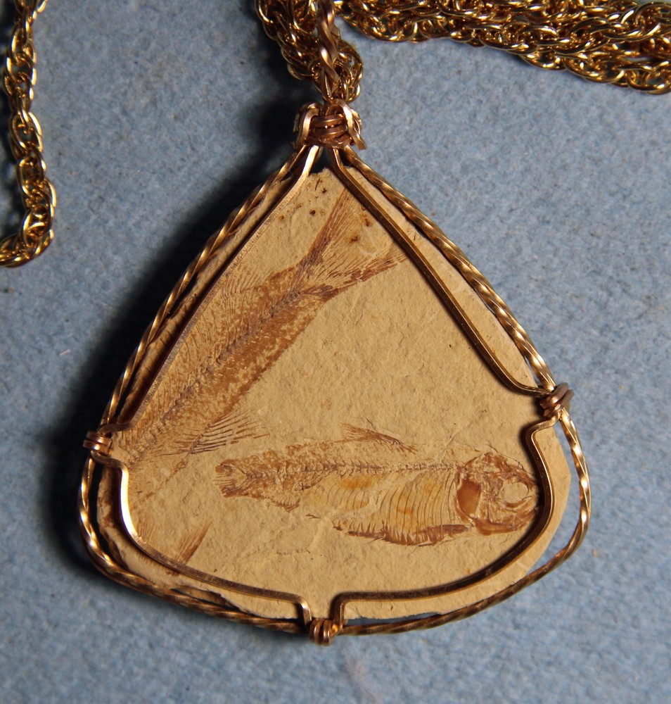 Knightia sp.- Pendant- Kemmerer, WY