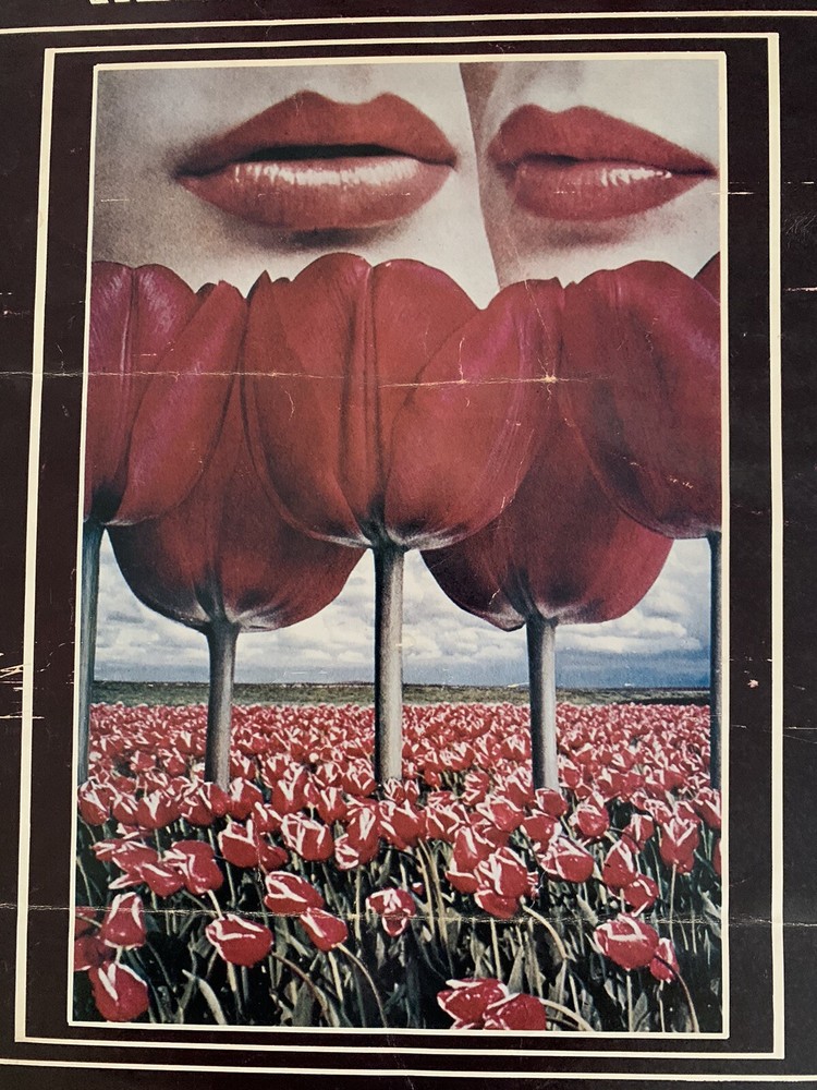 Vintage Fillmore West Rock Posters Johnny Winters