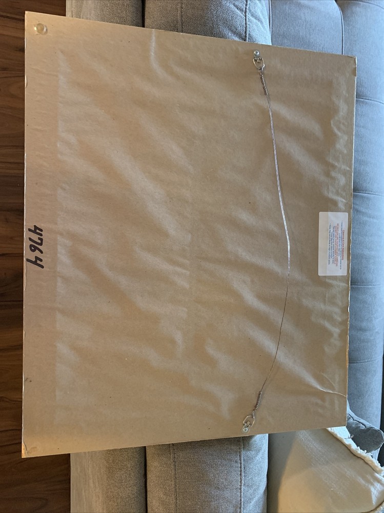 Early 1900s Texas Parade Flag