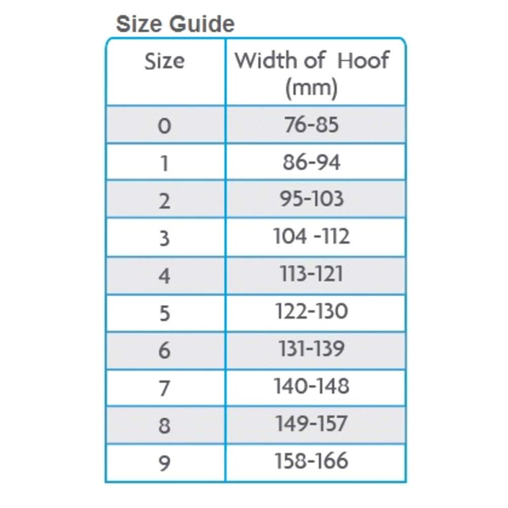 Hoof Boot 6