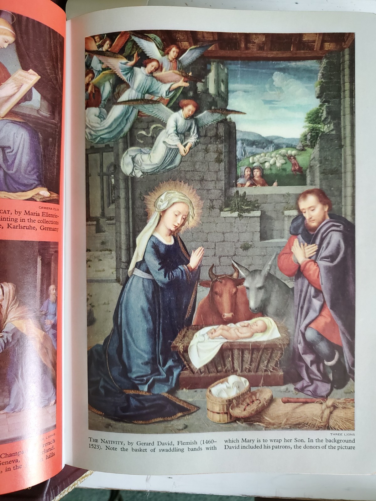 VTG Holy Bible Douay-Challoner & Confraternity Text 1951 White Illustrat Book