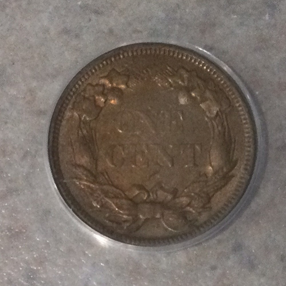 1858 1 Cent Flying Eagle Cent SM Letters ANACS EF 45 - Reverse Light Toning!