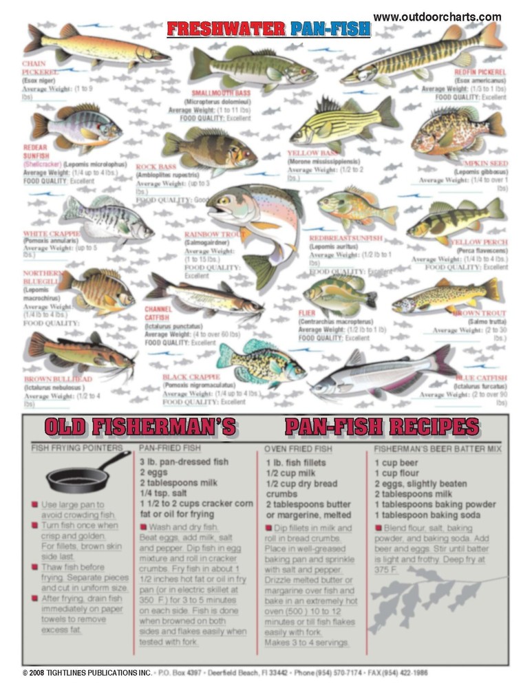 Pan Fish Identification #7 (Fish ID & Recipes) - Quick Reference Guide