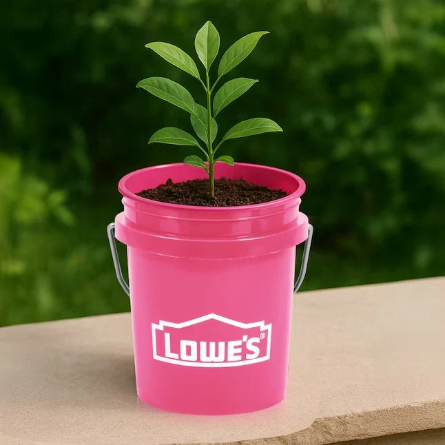 Pink -Lowe's Mini-Bucket | 0.4-quart BPA-Free Food-Grade Plastic | Brand New