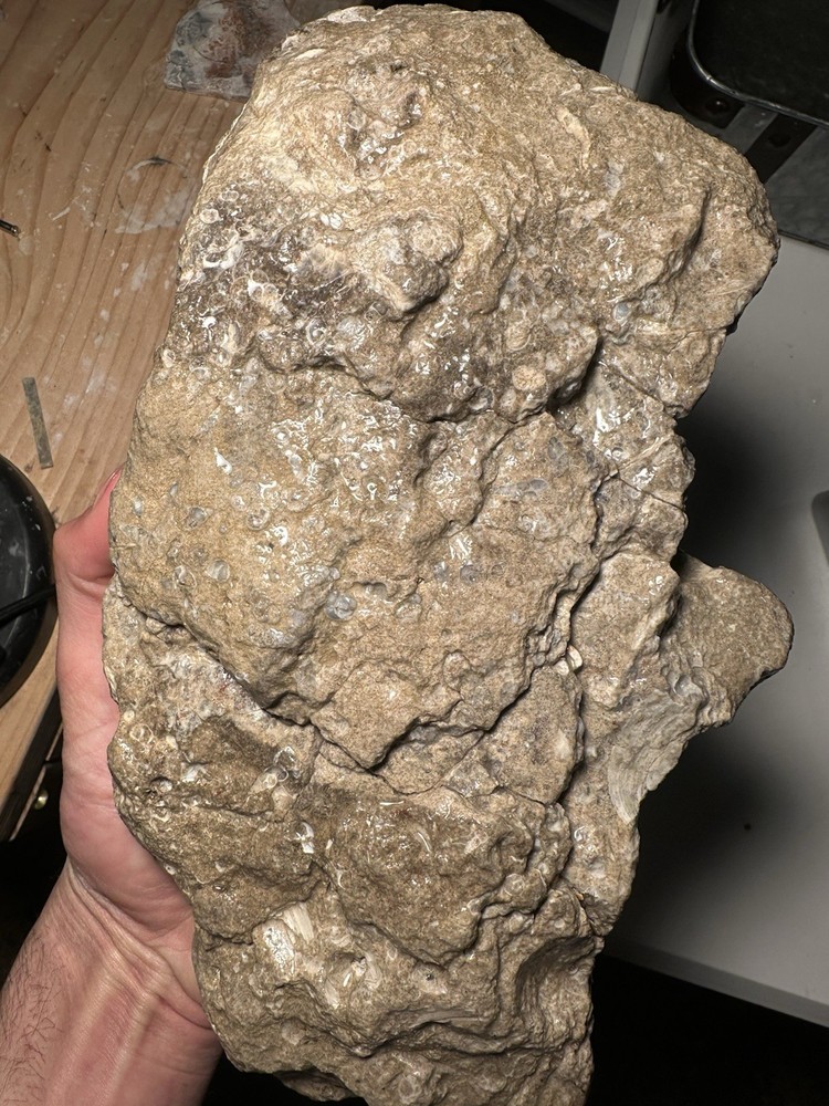 Large Snail Agate Specimen Rough Chunk Natural Gemstone 7lbs 1.2 OZ