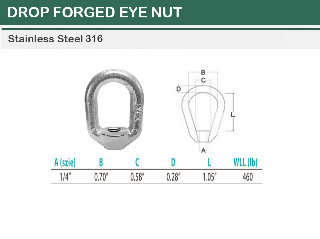 SS T316 Forged Style Lifting Eye Nut 1/4", 5/16", 3/8", 1/2", 5/8", 3/4"