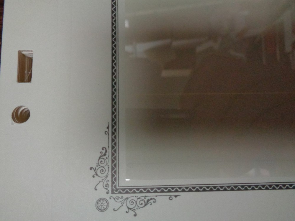 2 row pocket Scott Specialty Hingeless Stock pages Stocksheets Advantage X10 NEW