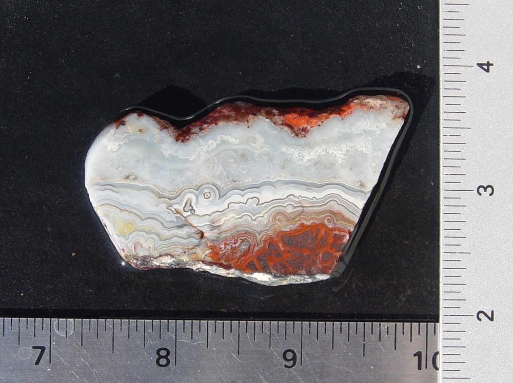 Crazy Lace Agate    Lapidary Slab                    T1233