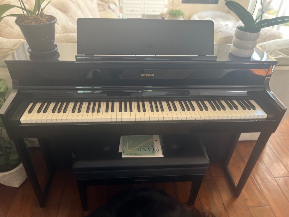 Roland Digital Piano HP704