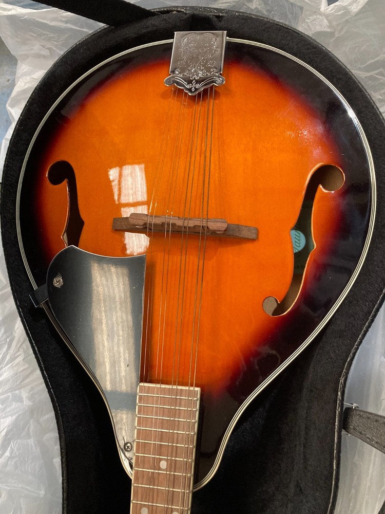 Taurus Mandolin TM-001 (Damaged case)