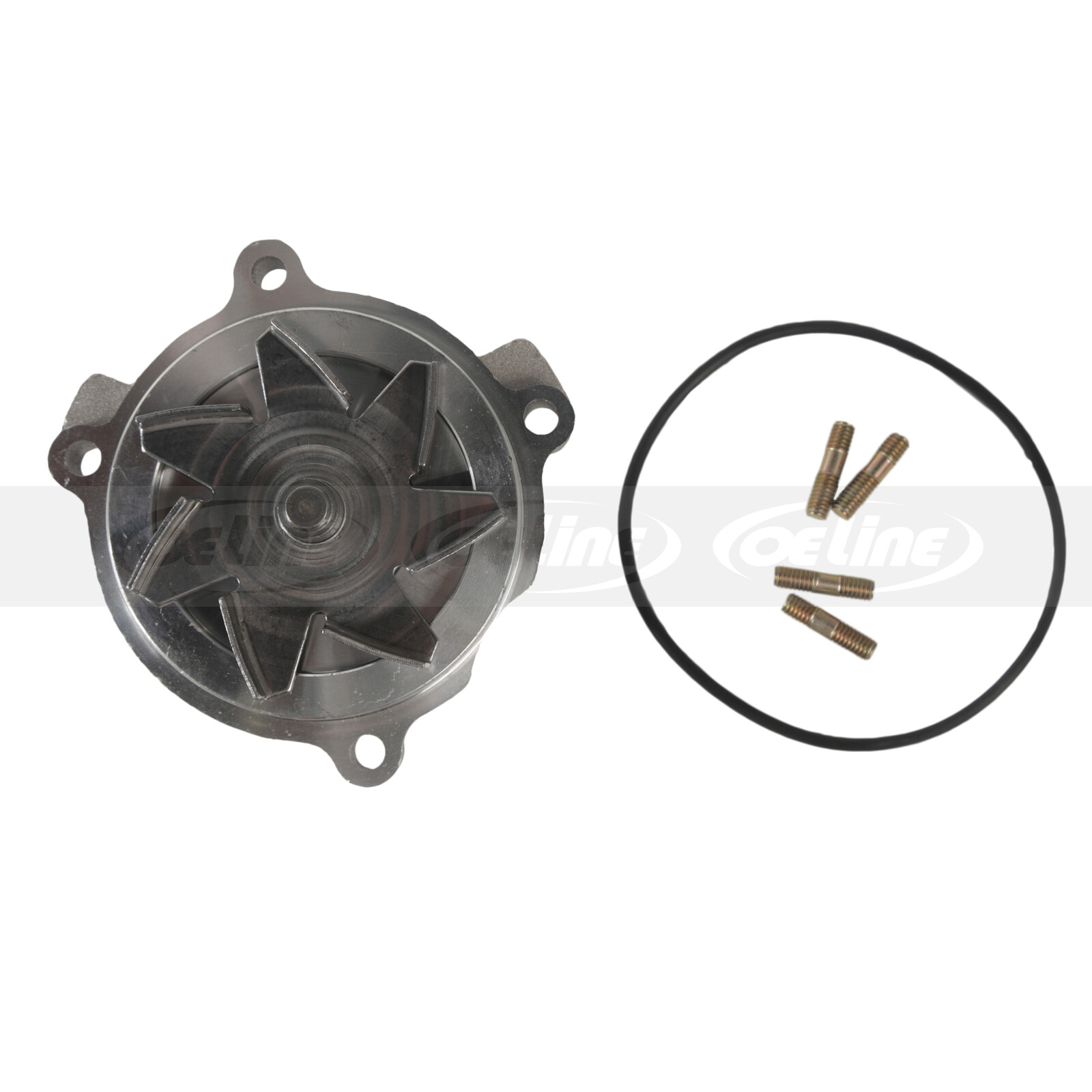 For 97-02 Ford E150 F150 F250 4.6L Timing Chain Kit w/ Oil Pump Water Pump