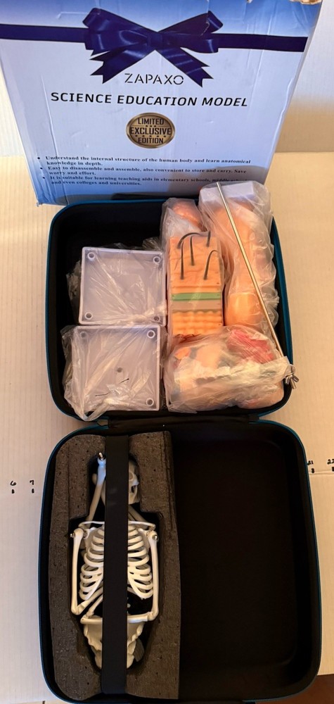 Human Anatomy Science Education Model Set