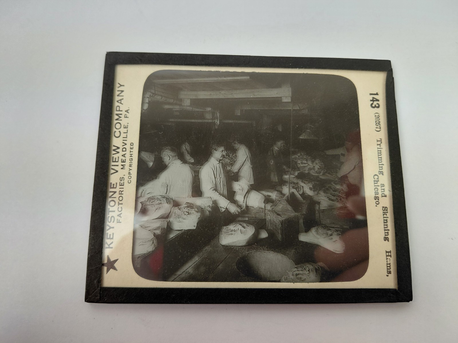 Magic Lantern Glass Slide Photo Keystone P143 Trimmknv Skinning Ham Chicago