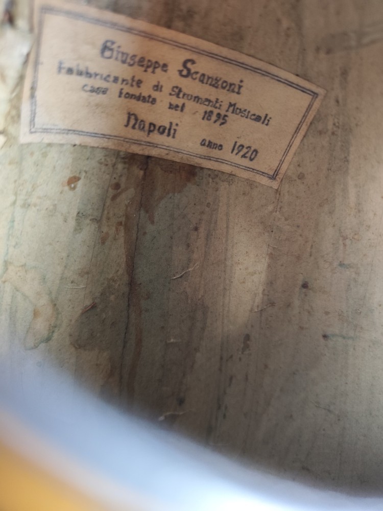 Mandolin Giuseppe Scanzoni 1920 Naples 曼陀林 만돌린マンドリン