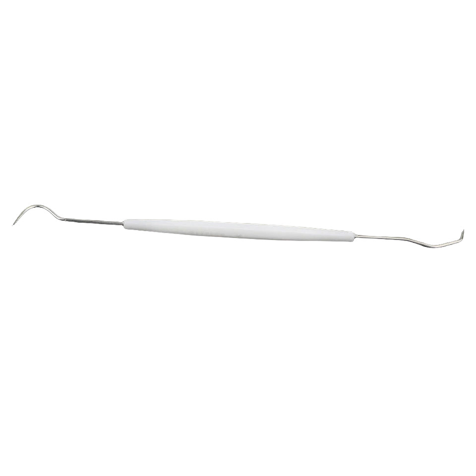 10 Pcs Dental Teeth Explorer Double End Instrument Probe Hook Basic Instruments