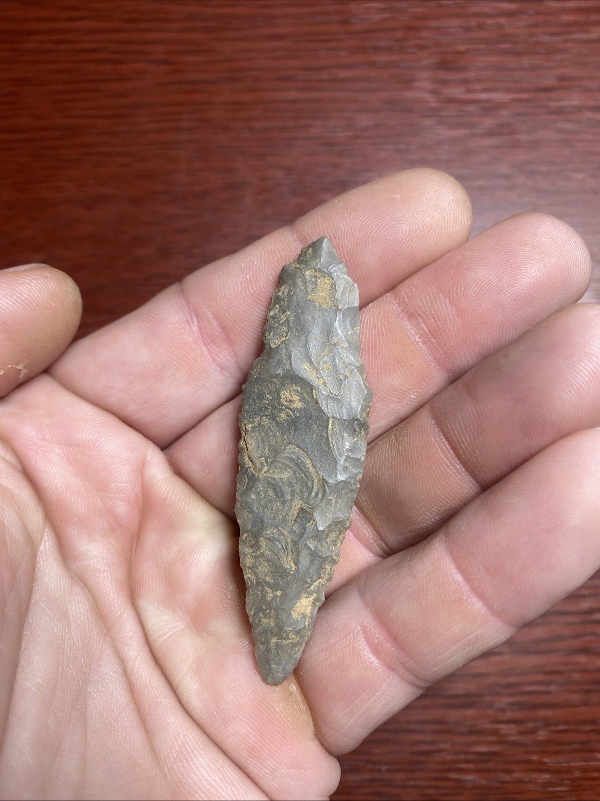 MLC s8264 2 5/8” Adena Turkeytail Arrowhead Ohio Stone Artifact