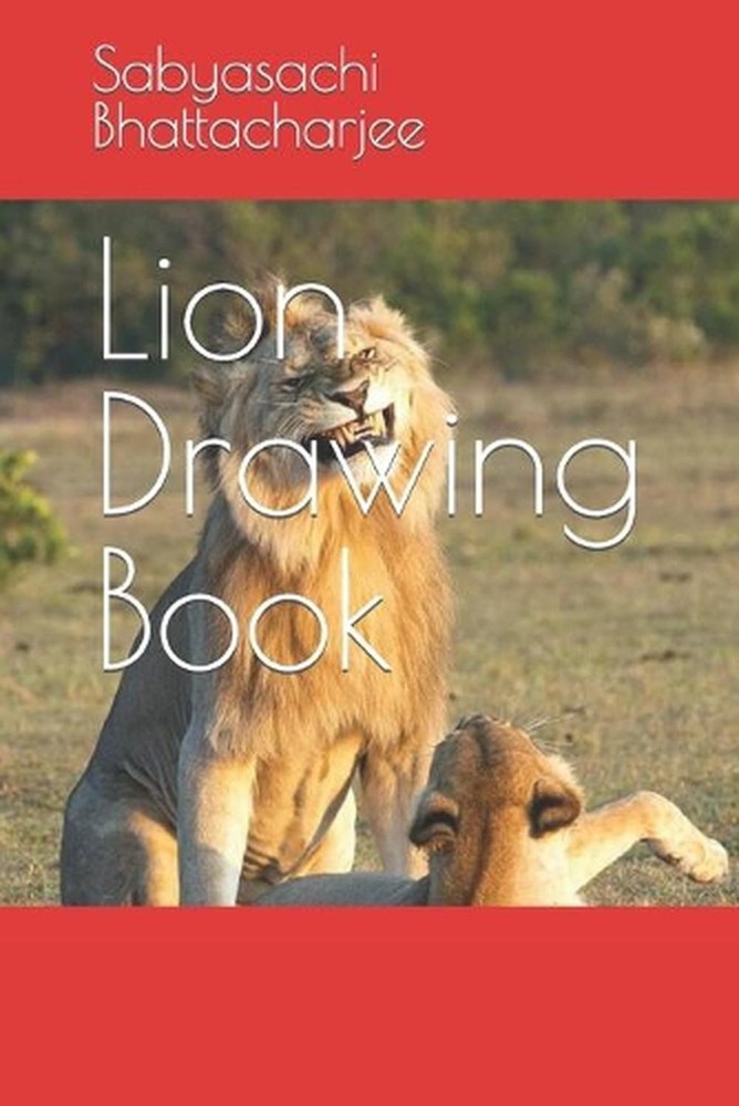 Lion Drawing Book