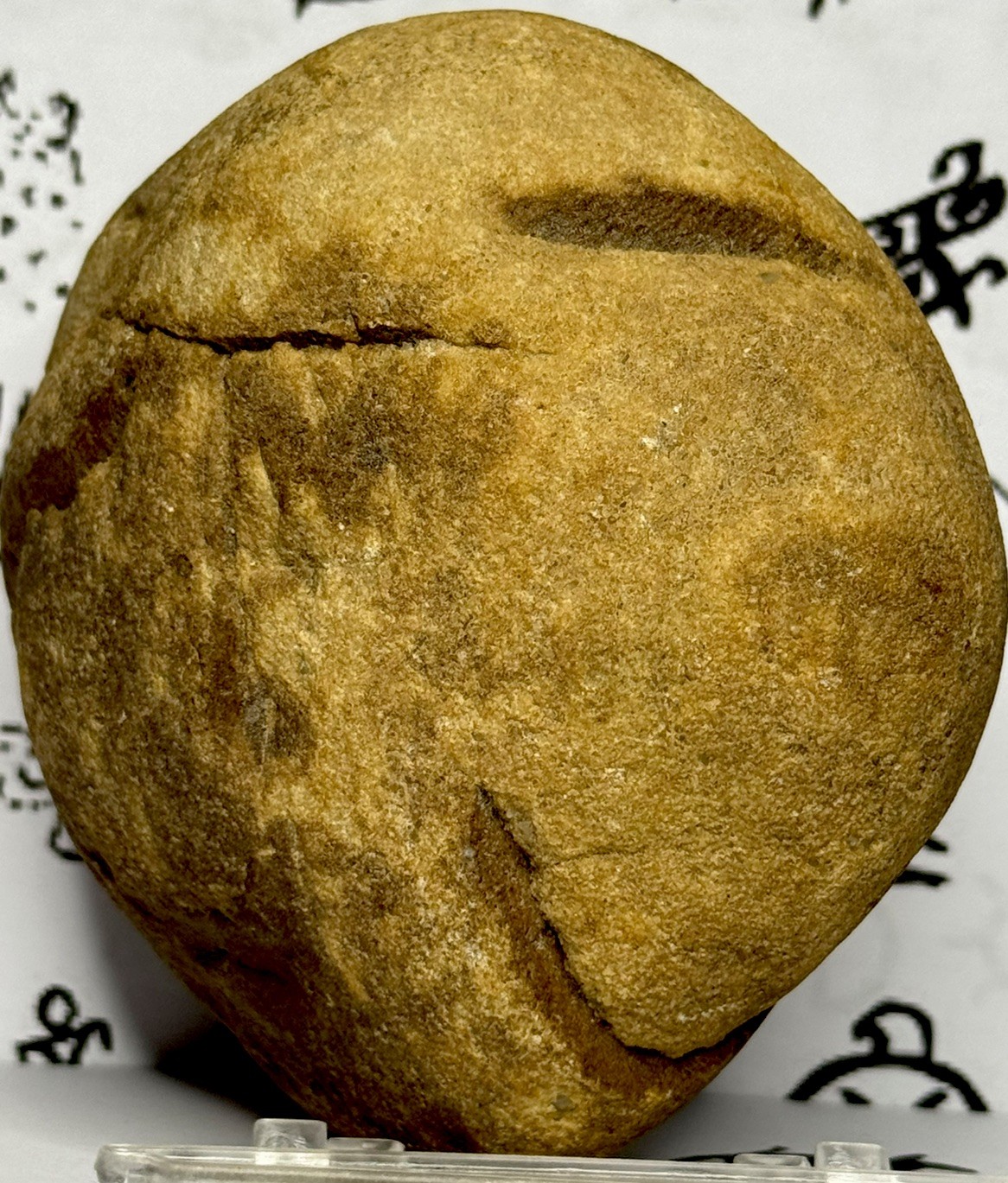 Native American Indian Authentic Artifact Stone Carved Effigy, 1 lb 10 oz • VA