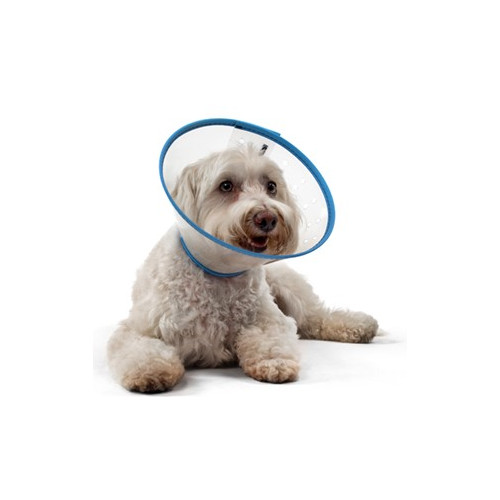 Safety Collar Small Dogs 10cm