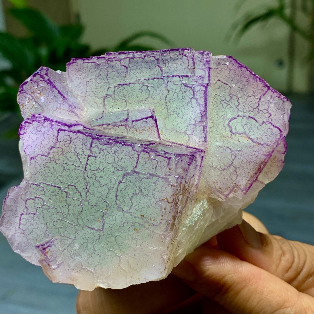 3 Code"Fluorite Cluster Crystal Mineral Specimen/Guizhou