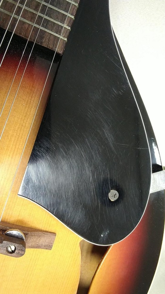 SUZUKI Unknown Flat Mandolin