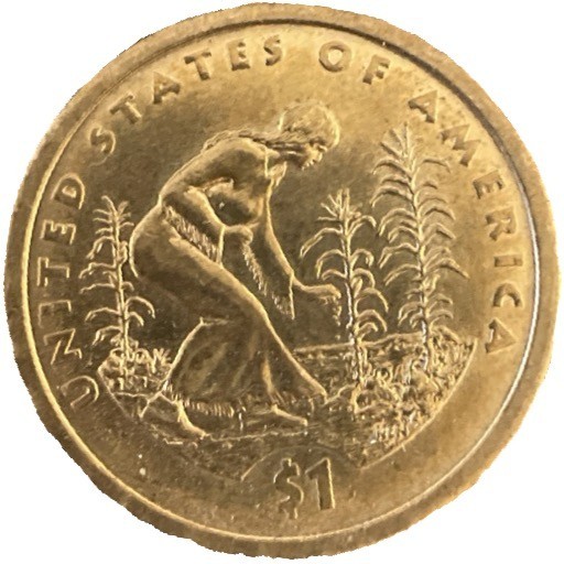 2009 Native American Dollar From Mint P