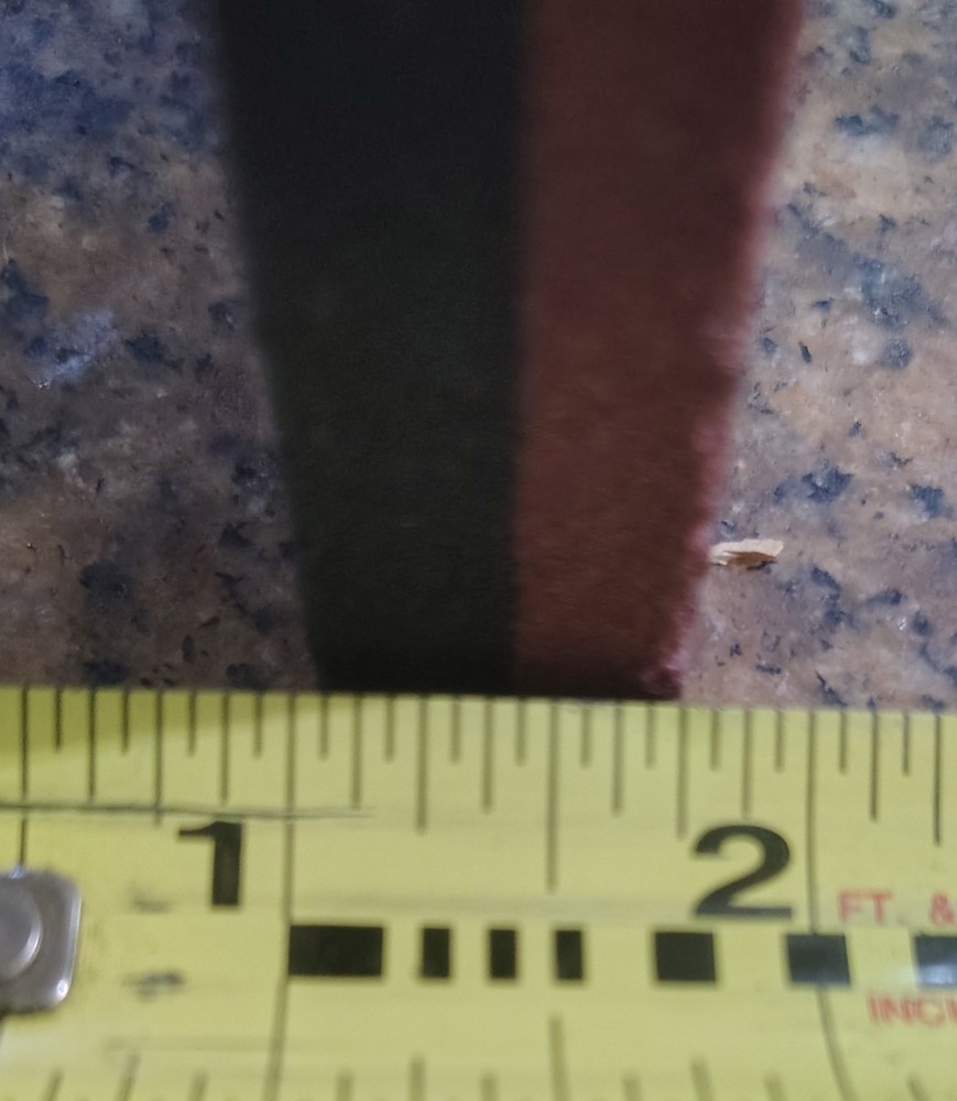 🗽3/4" X 2" X 7" TWO GRIT SHARPENING STONE
