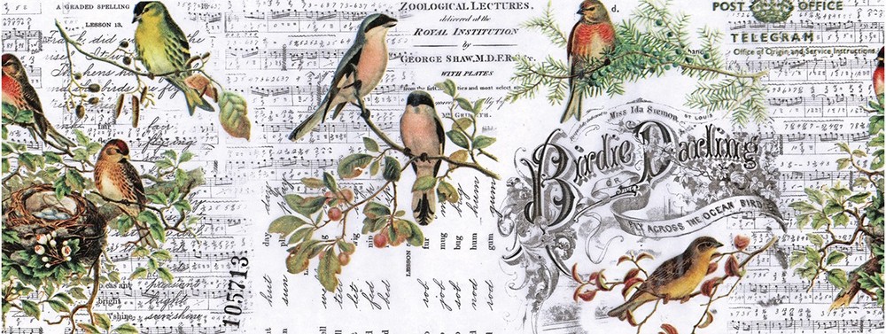 Idea-Ology Collage Paper 6yds Aviary