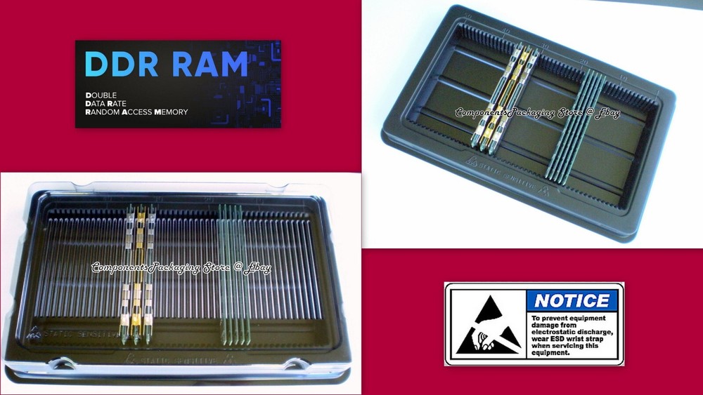 Long DIMM Memory Tray Holder Container for DRAM DDR PC Server Modules 2 Fits 100