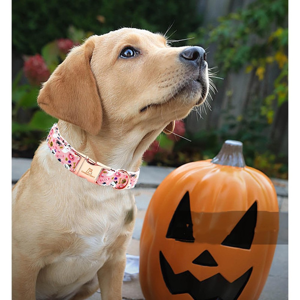 Dog Collar Fall Halloween Pumpkin Heavy Comfortable Adjustable Pink Medium