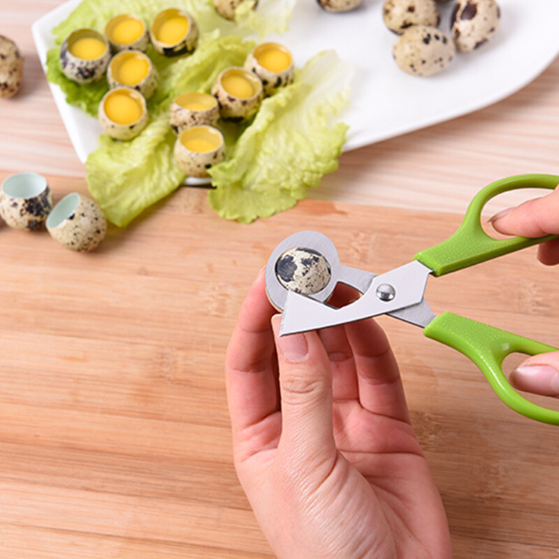 Stainless Steel Quail Egg Scissors Eggshell Opening Divider Scissors Lot